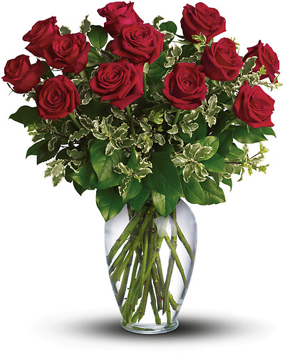 Always on My Mind - 12 Long Stemmed Red Roses