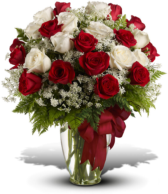 Love's Divine Arrangement - 24 Long Stemmed Roses