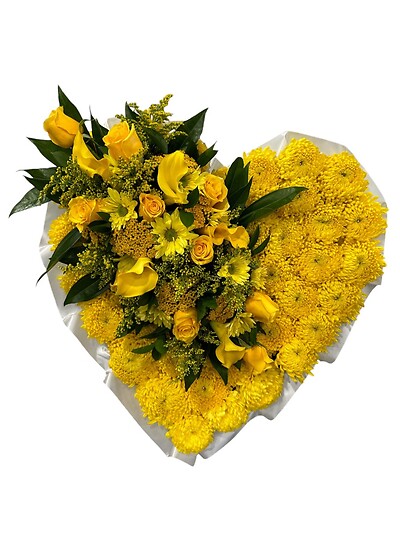 Heaven's Golden Light Heart