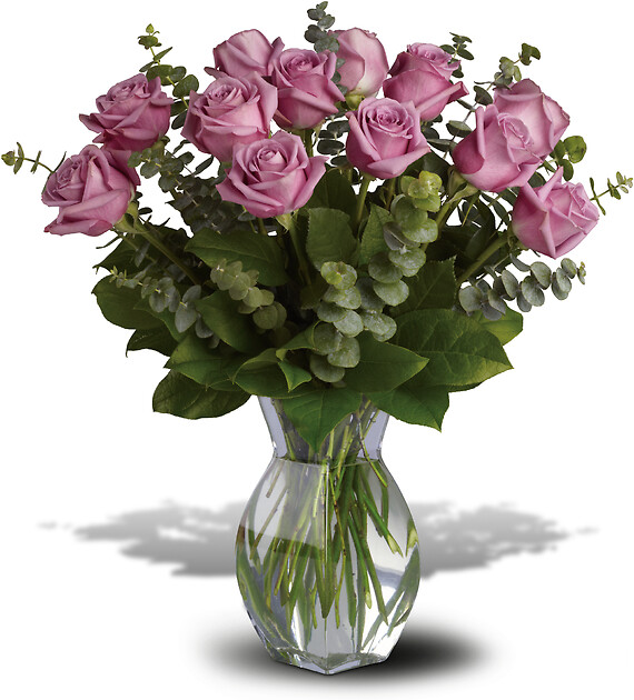 Lavender Wishes - 12 Premium Lavender Roses