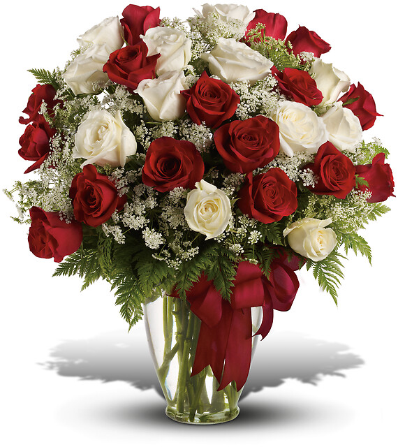 Love's Divine Arrangement - 24 Long Stemmed Roses