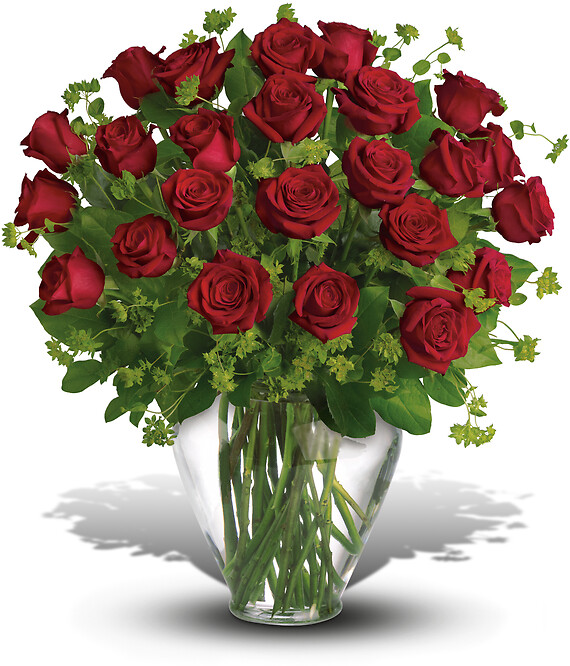 My Perfect Love - 24 Long Stemmed Red Roses