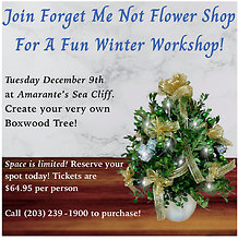 Winter Workshop