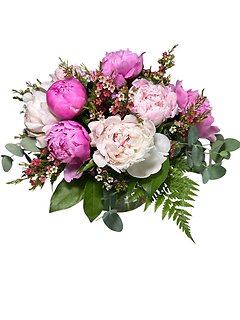Pretty in Peony