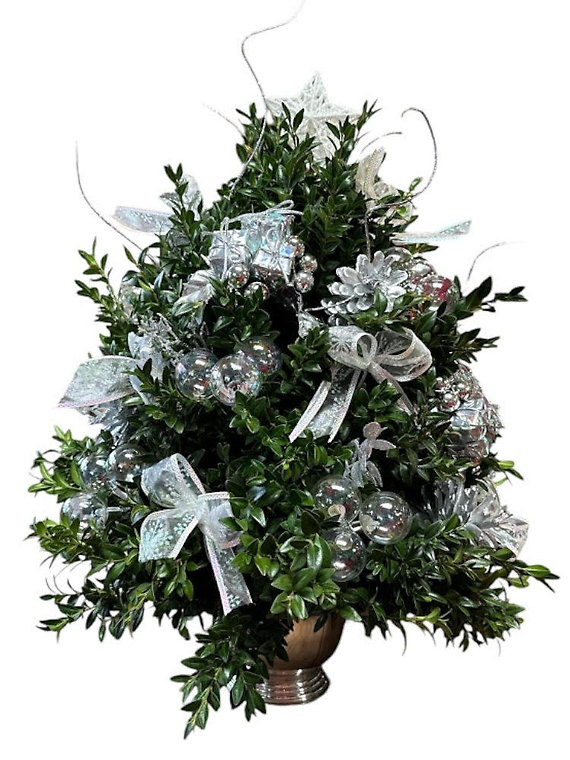 Boxwood Tree No Lights