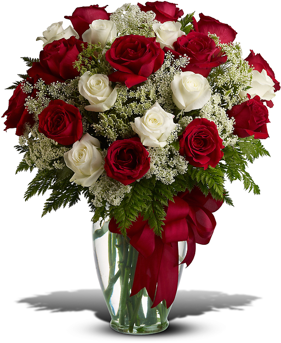 Love\'s Divine Arrangement - 24 Long Stemmed Roses