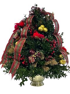 Boxwood Tree with Lights