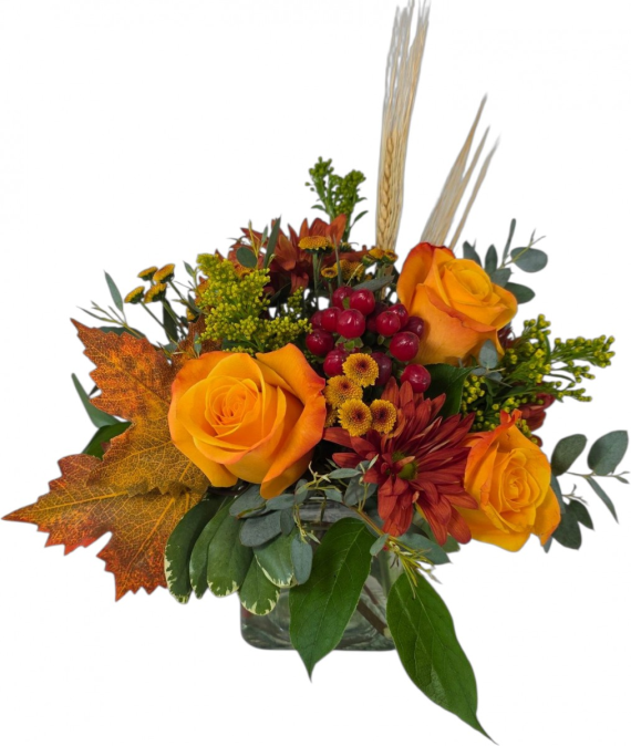 Fall Splendor