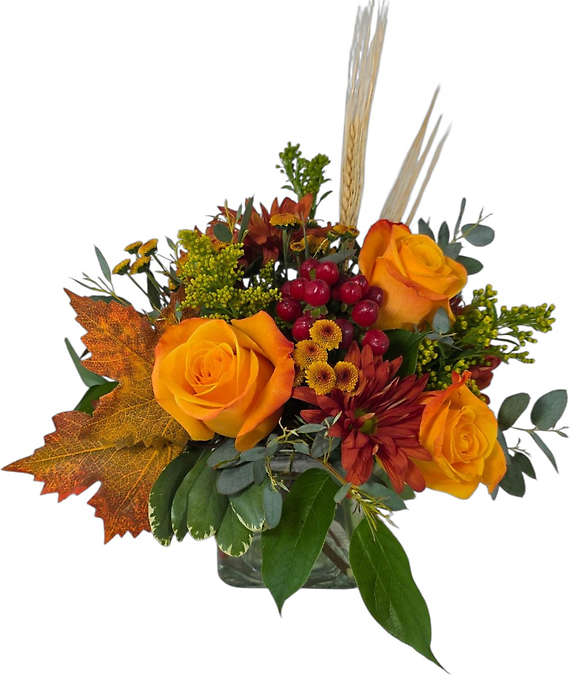 Fall Splendor