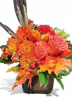 Fall Splendor