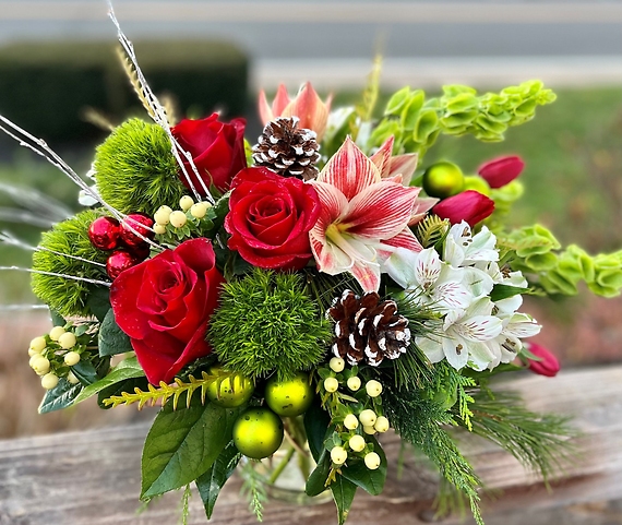Wonders of the Season
