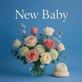 New Baby