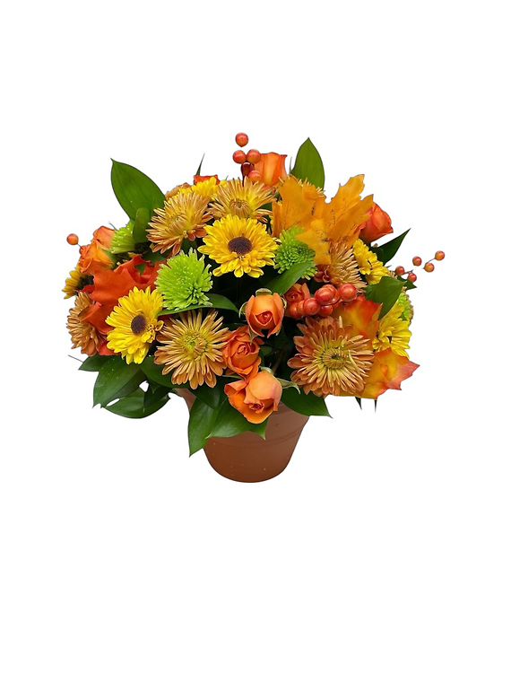 Golden Harvest Blooms